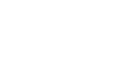 Strategus Logo